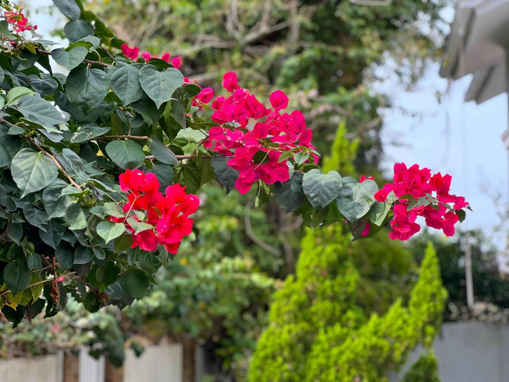 Inn Altas Natureza Florianópolis